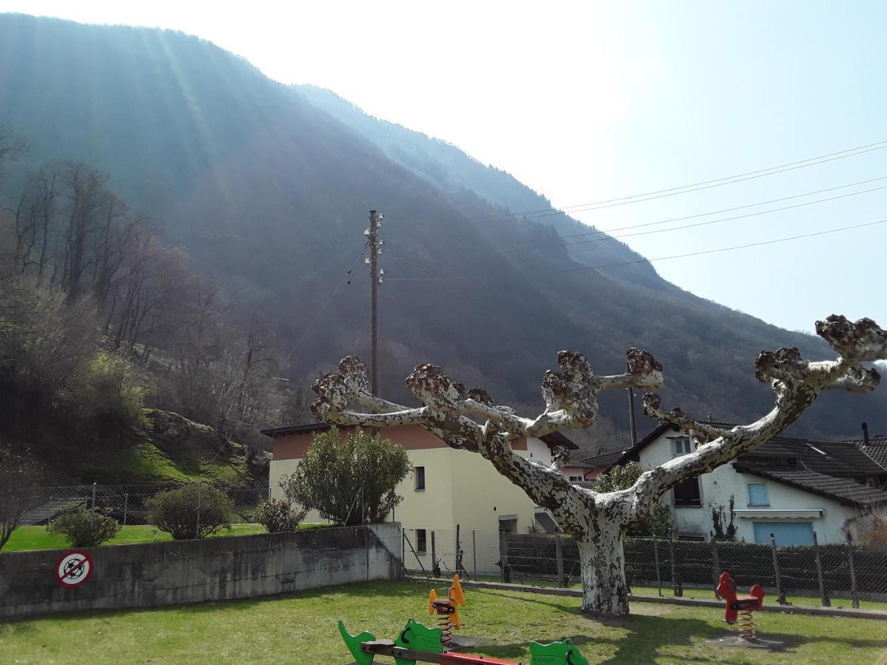Holidays Homes Il Folletto Quartino Esterno foto